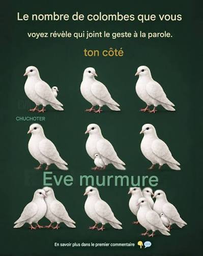 Le nombre de colombes que vous voyez révèle votre personnalité 👇