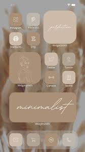 Shopbop designer fashion brands : Beige Aesthetic App Icons Prime Video Novocom Top