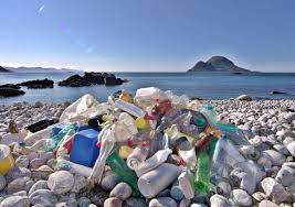 Plastik şişe kirliliğine 14 maddede çözüm: Sıfır atık | Yeşilist | Herkes için yeşil