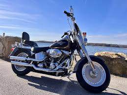 Image result for Vivid Black 1993 FLSTF