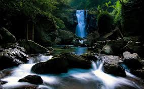 Wallpaper 3d Animated 3d Screensaver Animated Hd Nature Wallpapers Waterfall Wallpaper Waterfall Pictures It is very easy to do, simply visit the how to change the wallpaper on desktop page. wallpaper 3d animated 3d screensaver