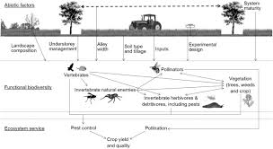 Get the inside scoop on jobs, salaries, top office locations, and ceo insights. Evaluating The Effects Of Integrating Trees Into Temperate Arable Systems On Pest Control And Pollination Sciencedirect
