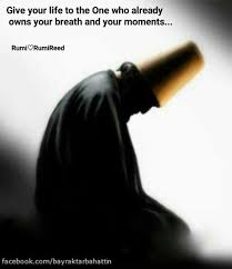 Pin By Lizveth Huerta On Rumi Quotes Rumi Quotes Rumi Love Quotes Rumi Love