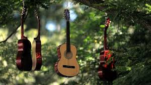 Akustische Gitarren Hangen In Einem Baum Bildquelle Dpa Akustische Gitarren Gitarre Musik