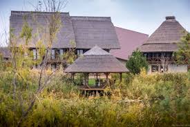 Vinoteca servește vinuri alese din podgoriile cele mai apreciate ale româniei. Cum Este La Green Village Resort Din Sfantu Gheorghe Delta Dunarii Razvan Pascu