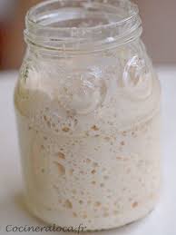 Faire Un Levain Maison Le Rafraichir L Utiliser Le Conserver Avec Images Levain Maison Recette Recettes De Cuisine