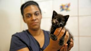Natürlich kannst du mit deiner katze sprechen, aber texte sie nicht zu (sie. Katzen Flut Im Tierheim Bayreuth Bayreuth Nordbayerischer Kurier