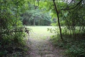 Homes for sale winnsboro tx. 116 Winnsboro Homes For Sale Winnsboro Tx Real Estate Movoto