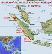 The amount of rainfall a tropical rainforest receives depends mostly on the location of these forests. Tropical Rainforest Heritage Of Sumatra Natural World Heritage Sites