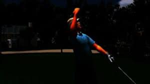 This requires you to reach level 4 with all sponsors . 47 Games Like Tiger Woods Pga Tour 2005 Games Like