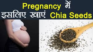Risks And Benefits Of Tukmaria Seeds – Parsi Cuisine