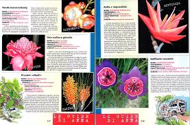 We did not find results for: Never Seen Before Flowers Found Out In Various Parts Of The World Monaco Nature Encyclopedia