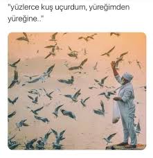 Siir Gibi Sozler Panosundaki Pin