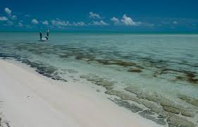 Best Places To Stay In Andros Island, Caribbean | The Hotel Guru