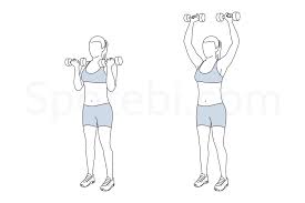 Arnold Shoulder Press Illustrated Exercise Guide