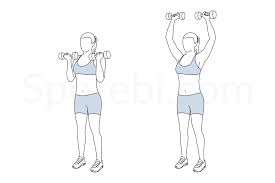 arnold shoulder press illustrated exercise guide