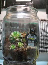 Batman Terrarium Up Cycled From Old Candle Jar Old Candle Jars Candle Jars Terrarium