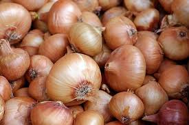 Maybe you would like to learn more about one of these? Can Dogs Eat Onions Are Onions Bad For My Dog