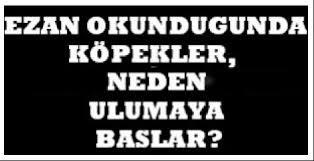 Ezan Okunurken Kopekler Neden Ulur Konumuz Kur An
