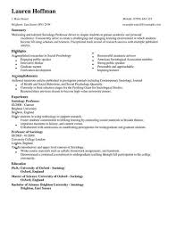 The job seeker is targeting a position in secondary or higher education teaching. Professor Cv Template Cv Samples Examples
