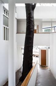 Fondation Le Corbusier Realisations Maison Du Docteur Curutchet Casa Curutchet Arquitectura Arquitectura Moderna