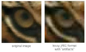 Jpegs are also lossy, meaning they retain all color information, but compress file size by selectively discarding. What Is Difference Between Jpg And Png Quora