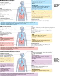 Image result for Silver Grey 1997 AAV