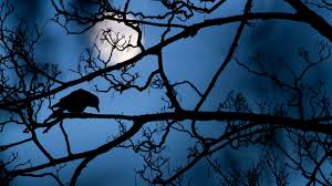 Crow Ringtone Free Ringtones Download Youtube