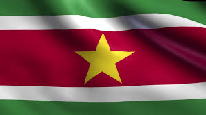 Suriname emoji is a flag sequence combining 🇸 regional indicator symbol letter s and 🇷 regional indicator symbol letter r. Flag Of Suriname Background Seamless Stock Footage Video 100 Royalty Free 6397475 Shutterstock