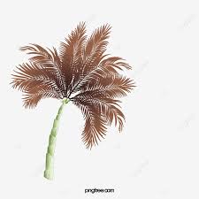 Teknik tanam miring kelapa sawit di gambar 5. Gambar Pokok Pokok Sawit Clipart Pokok Pokok Kelapa Sawit Telapak Tangan Png Dan Psd Untuk Muat Turun Percuma Tree Clipart Palm Tree Png Palm Trees