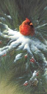 Bird That Sounds Like A Car Alarm Canada Epingle Par Marian Robertson Sur Birds Peinture Oiseau Animaux Et Oiseaux Oiseaux Cardinaux