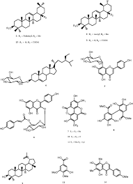Image result for Dissotis irvingiana