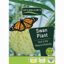Check spelling or type a new query. Mcgregor S Swan Plant Flower Seeds The Warehouse