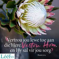 Pin On Afrikaans Taal Van My