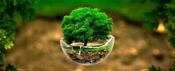 O meio ambiente e a água. Como Surgiu O Dia Mundial Do Meio Ambiente Ponto Biologia