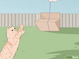 The benefit of this is that you can save money at least to some extent. 11 Ways To Make Cat Toys Out Of Common Household Items Wikihow