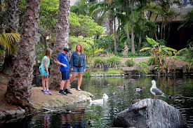 This waterfall is hidden in greenery environment. Check Out This Secluded Island Oasis In San Diego Paradise Point Resort Akron Ohio Moms