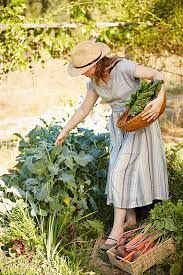 Woman Farmer Picking Kale From Her Organic Garden By Trinette Reed Gardening Photography Female Farmer Woman Gardening