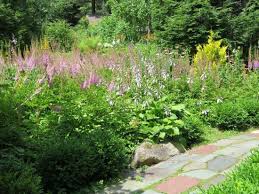 Prices and availability subject to change. Bizzare Behavior By Female Owner Review Of Tarbin Gardens Franklin Nh Tripadvisor
