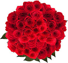 Check spelling or type a new query. Amazon Com Fresh Flowers 100 Red Roses Beautiful Gift Grocery Gourmet Food