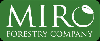 Image result for Sherbournia bignoniiflora