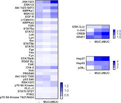 Cytokine Production And Signalling In Human Thp 1 Macrophages Is Dependent On Toxocara Canis Glycans Springerlink