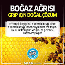 Kaydedilen Fotograflar 2020 Saglik Saglikli Yasam Tarzi Grip
