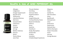 Uses For Peppermint Oil Essentialoils Lifeessentially Ameo Ameo Essential Oils Peppermint Oil Uses Oils