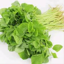 Gratis untuk komersial tidak perlu kredit bebas hak cipta. Beli Sayur Bayam Pada Harga Terendah Lazada Com My