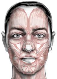 Inhimillisiä ilmeitä susihahmoille