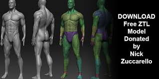 Download Free Ztl Model Donated By Nick Zuccarello Zbrushtuts Proporcoes Humanas Figuras Humanas Desenho Da Figura Humana