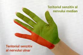 Fracturi la degetele de la picioare apar atunci cand piciorul loveste un obiect dur, sunt destul de dureroase si rareori sunt tratate chirurgical. Furnicaturi Si Amorteli In Maini Si Degete Tratament Dr Vladislav Gyebnar