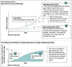 life span as a biomarker