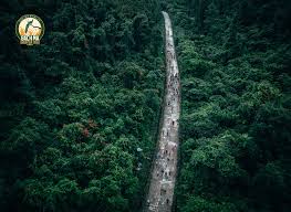 500 runner góp phần bảo tồn thiên nhiên Vườn Bạch Mã Mountain Trail 2024 -  Vietnam Marathon